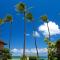 Maui Sands #6E