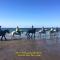 Ayrshire Holiday Cottage
