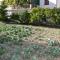 Apartments with parking space Kastel Stafilic, Kastela - 5219