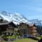 Chalet Am Acher 3