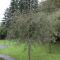 The Magnolias B&B photo 14