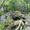 Camping Ruta del Purche