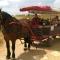 Ecuries Leseigneur - Camping Insolites