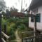 Penarik baru homestay