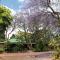 African Roots Guest House