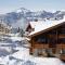 les 7 laux immobilier chalet A - Прапутель