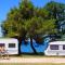 SunFlower Camping Savudrija