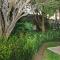 Safari Club Guest Lodge OR Tambo International Airport - Kempton Park