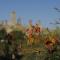 Il Borgo Antico