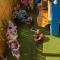 Hostel Mamallena
