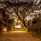 Foto: Bamboo Bungalow 2/99