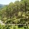 Uttarakhand resort