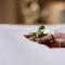 Shalai - Exclusive SPA and small gourmet hotel