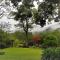 Around The Tree Manor - شيطان