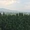 Shan Hu Lian Homestay