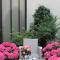 My Home In Paris