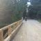 Four Seasons Algonquin Cabins