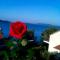 Apartments Gordana