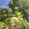 Churchwood Valley