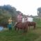 Domein Rietvelde