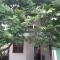 Herin Green House