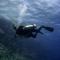 Oonas Dive Club