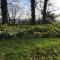 Meadow Sweet Cottage