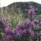 Borgo Aranci - Villetta Peonia B3 - Castellammare del Golfo