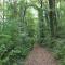 Pitchounette - Chaumont-Gistoux