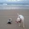 Clarence Head Caravan Park