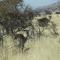 Tava Lingwe Game Lodge & Wedding Venue