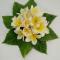 Bentota Orchid House