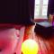 Jacuzzi Rooms