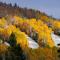 Les Bouleaux - Les Chalets Spa Canada - La Malbaie