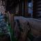 Cottage Hata Zustrich - 布克维