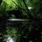 Cottage 261 - Moyard