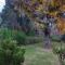 Rubys Cottage
