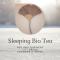 Sleeping Bio Tea - Thionville