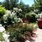 Villa des Roses