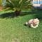 Villa Tramuntana 171 by Mallorca Charme