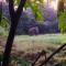 Sunshine Resort & Spa Sigiriya