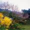 Jin Ping Homestay