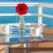 Sunny Beach Apartments - Rethymno