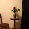 Boutique Amaru Wasi