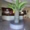 Hotel Delfines Del Mar Acapulco