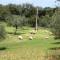 Monte do Alentejo | Cozy Cottage