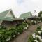 Hortensias Chalets Vara blanca - Heredia