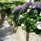 Nice Apartment & Room in Cavtat - 察夫塔特