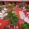 Hotel Mary Carmen