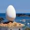 Splendido studio, vista mare, a 5mn dalla spiaggia - Casa ArteVida - Roses